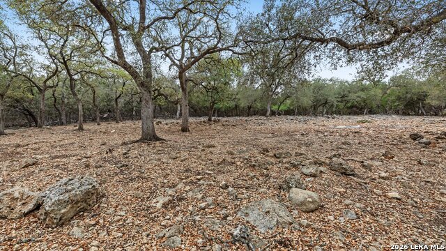 Image 38 of 44 For 1716 Phantom Rider