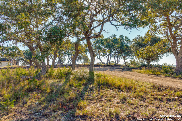 Image 19 of 32 For 10205 #2 Johns Road