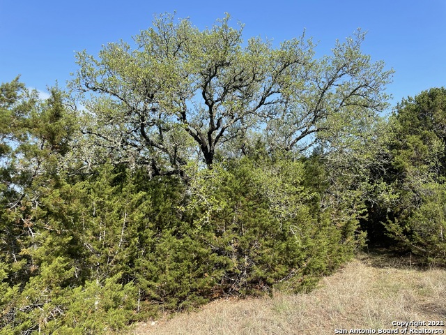 Details for 1865 Stallion Springs Dr, Fischer, TX 78623