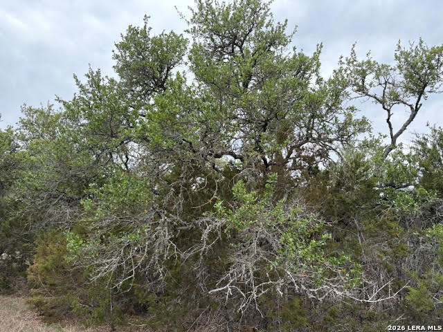 Image 14 of 26 For 1865 Stallion Springs Dr