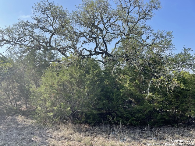 Image 2 of 26 For 1865 Stallion Springs Dr