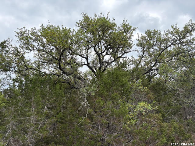 Image 22 of 26 For 1865 Stallion Springs Dr