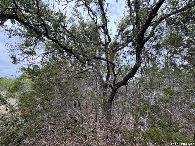 Image 23 of 26 For 1865 Stallion Springs Dr