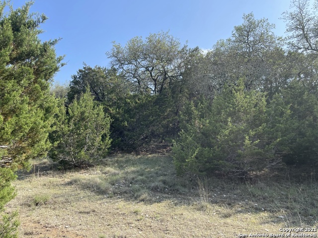 Image 3 of 26 For 1865 Stallion Springs Dr