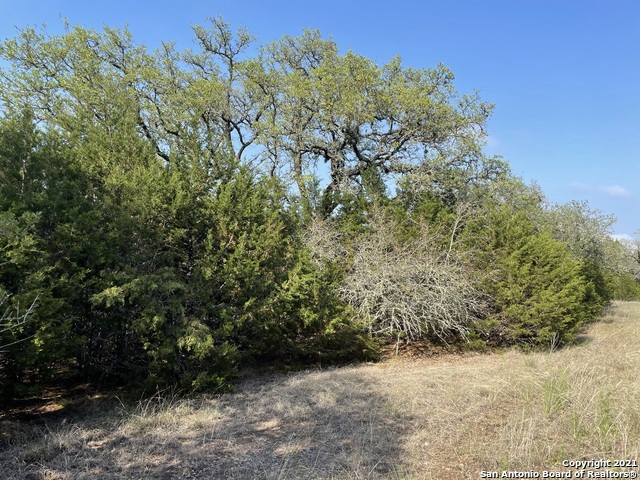 Image 5 of 26 For 1865 Stallion Springs Dr