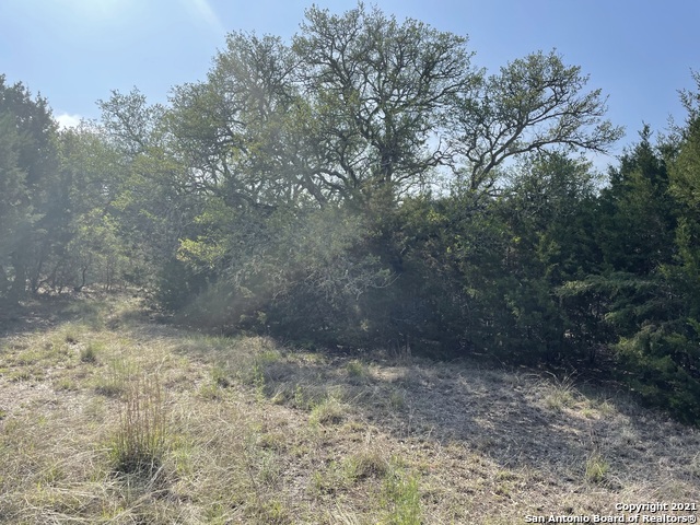 Image 6 of 26 For 1865 Stallion Springs Dr