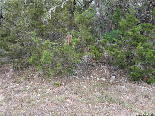 Image 9 of 26 For 1865 Stallion Springs Dr