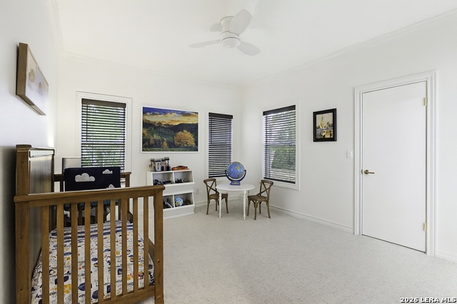 Image 19 of 42 For 2 Trophy Grn