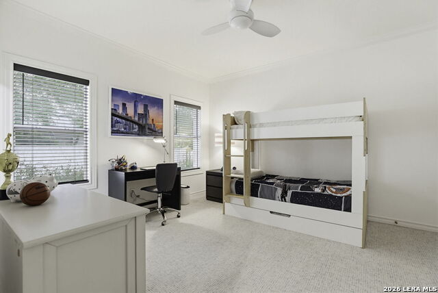 Image 21 of 42 For 2 Trophy Grn