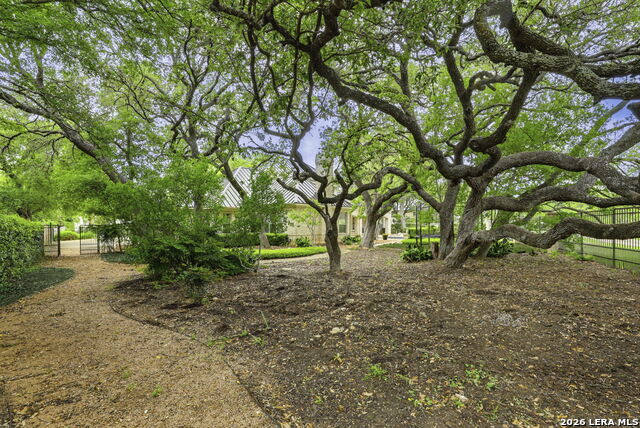 Image 40 of 42 For 2 Trophy Grn