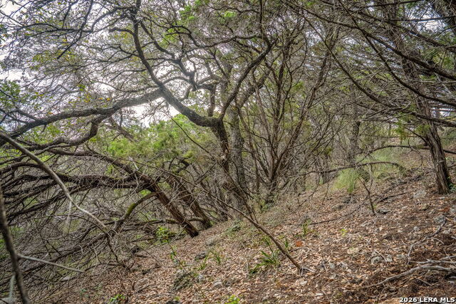 Image 18 of 30 For 535 Eden Ranch Dr