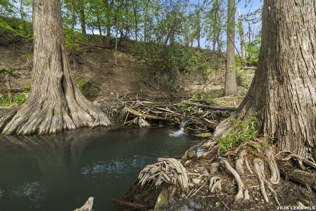 Listing photo id 71 for 608 Creek Rd N