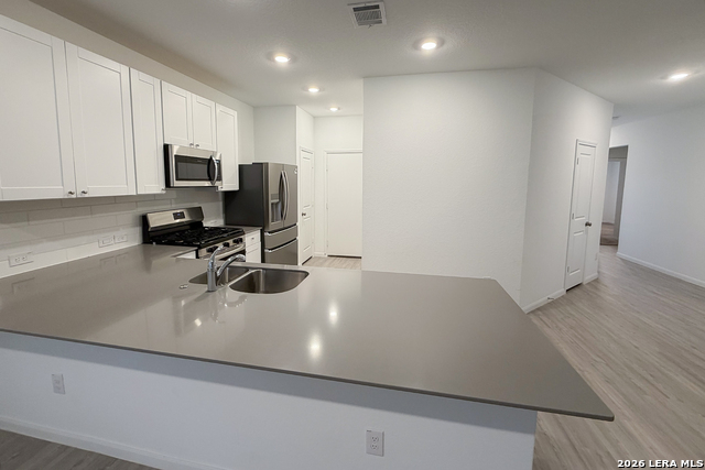 Image 9 of 35 For 31927 Native Sun Rd