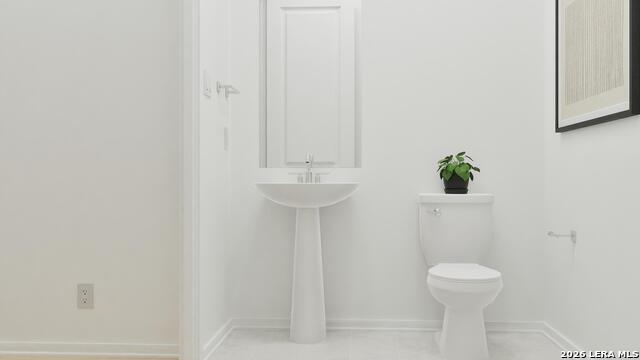 Image 35 of 35 For 1921 Black Stork