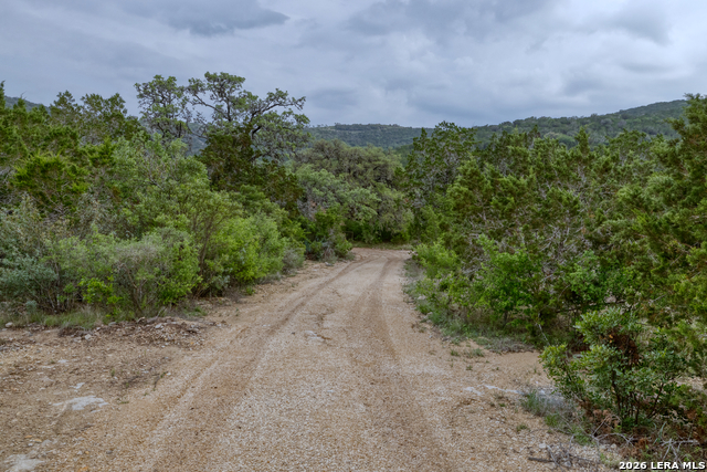 Image 41 of 56 For 24499 Us Highway 83 N