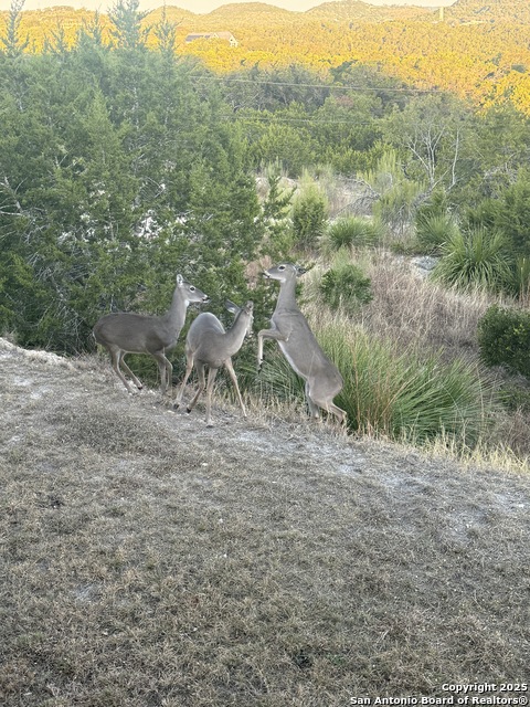 Image 46 of 50 For 42 Tower Rd  