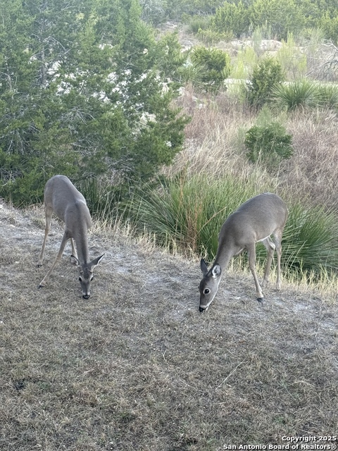 Image 47 of 50 For 42 Tower Rd  