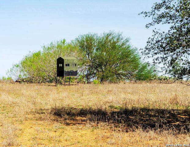Listing photo id 32 for 1980 County Road 361
