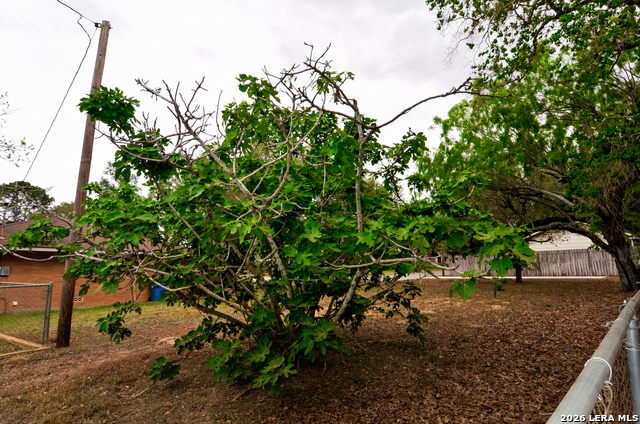 Image 20 of 28 For 608 F St  