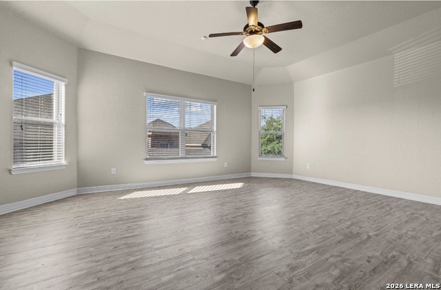 Image 21 of 39 For 11102 Butterfly Bush