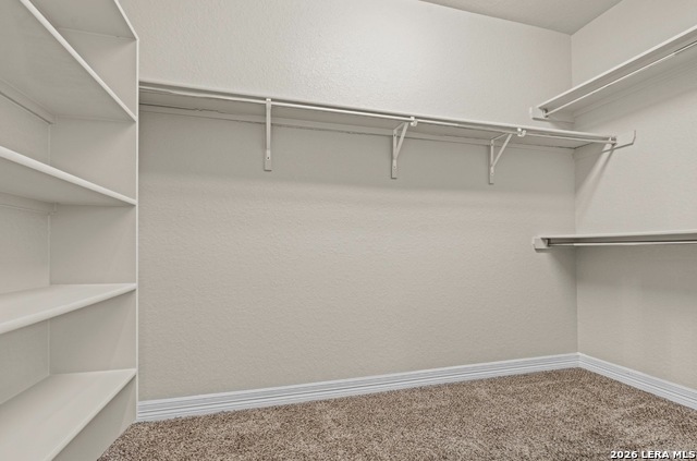 Image 26 of 39 For 11102 Butterfly Bush