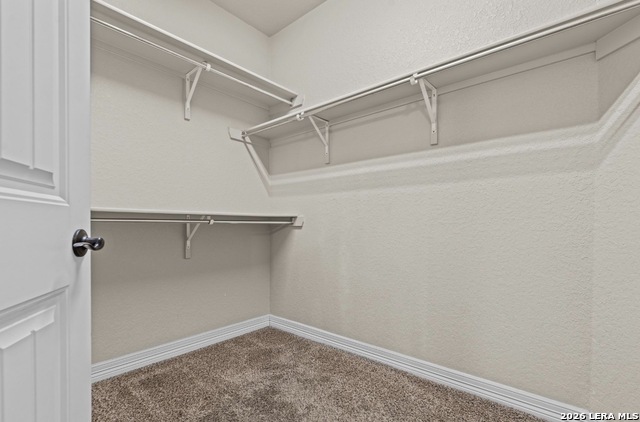 Image 27 of 39 For 11102 Butterfly Bush