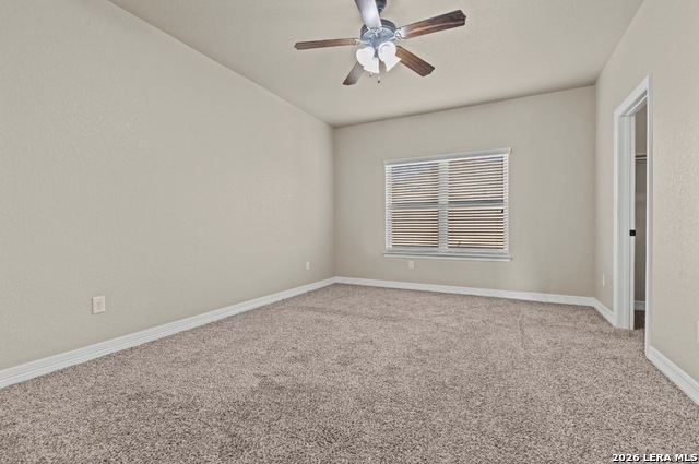 Image 30 of 39 For 11102 Butterfly Bush