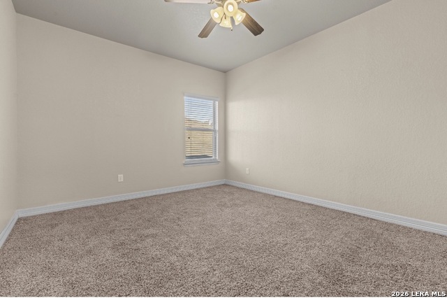 Image 33 of 39 For 11102 Butterfly Bush