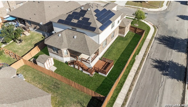 Image 39 of 39 For 11102 Butterfly Bush