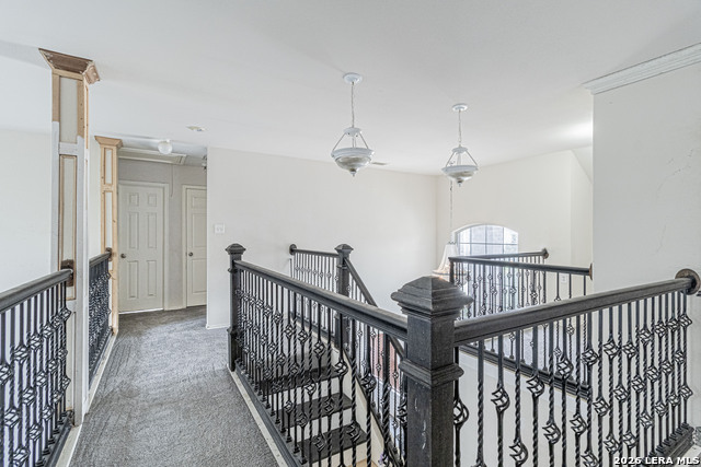 Image 25 of 36 For 157 Niemietz Cv