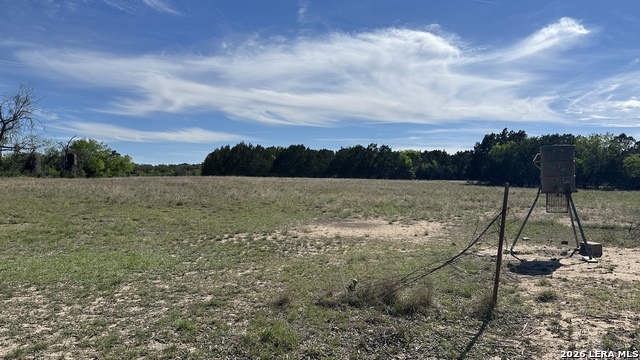 Image 11 of 33 For 705 Elbel Bend