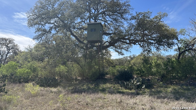 Image 12 of 33 For 705 Elbel Bend