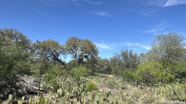 Image 13 of 33 For 705 Elbel Bend