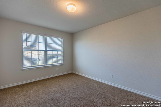 Image 38 of 46 For 2918 Lindenwood Run