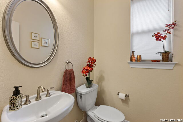 Image 6 of 33 For 1019 Olivia Vw