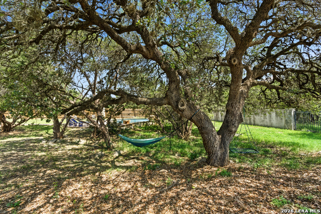 Image 44 of 45 For 1602 Palmer Vw