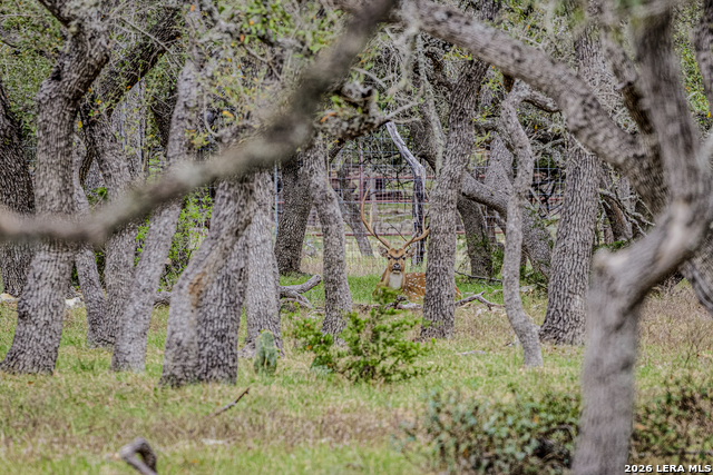 Image 10 of 46 For Tbd Sattler Rd