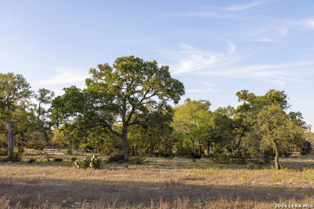 Image 13 of 46 For Tbd Sattler Rd