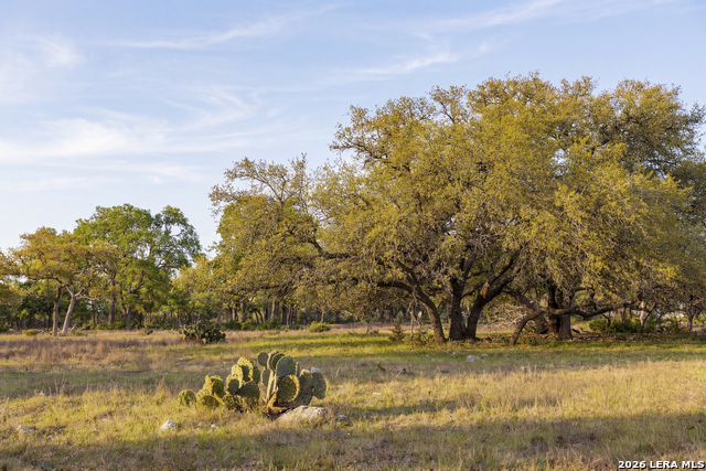 Image 14 of 46 For Tbd Sattler Rd