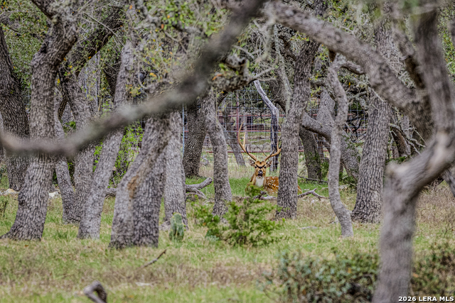 Image 17 of 46 For Tbd Sattler Rd