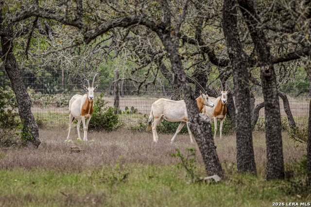 Image 19 of 46 For Tbd Sattler Rd