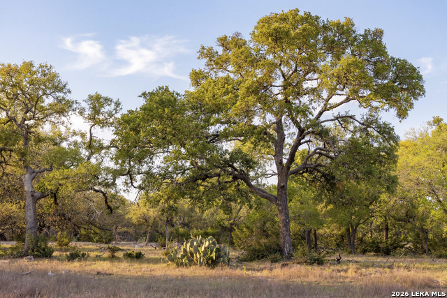 Image 2 of 46 For Tbd Sattler Rd