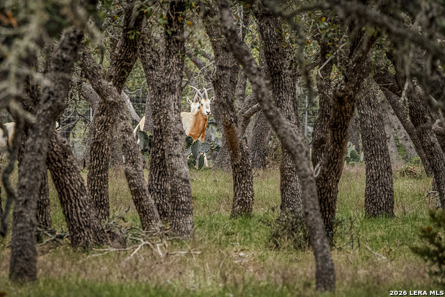 Image 22 of 46 For Tbd Sattler Rd