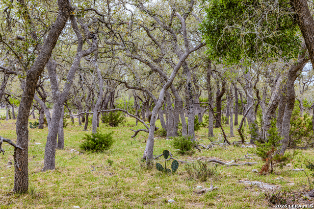 Image 30 of 46 For Tbd Sattler Rd