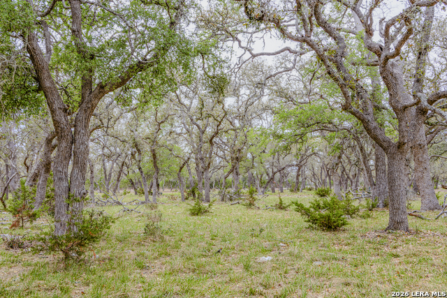 Image 31 of 46 For Tbd Sattler Rd