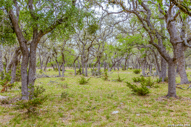 Image 32 of 46 For Tbd Sattler Rd