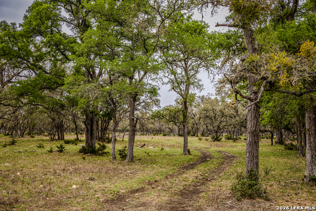 Image 33 of 46 For Tbd Sattler Rd