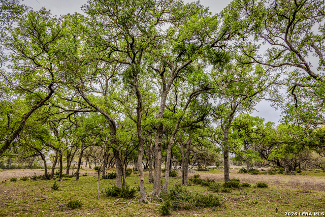 Image 34 of 46 For Tbd Sattler Rd