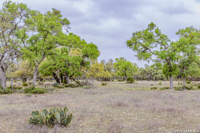 Image 35 of 46 For Tbd Sattler Rd