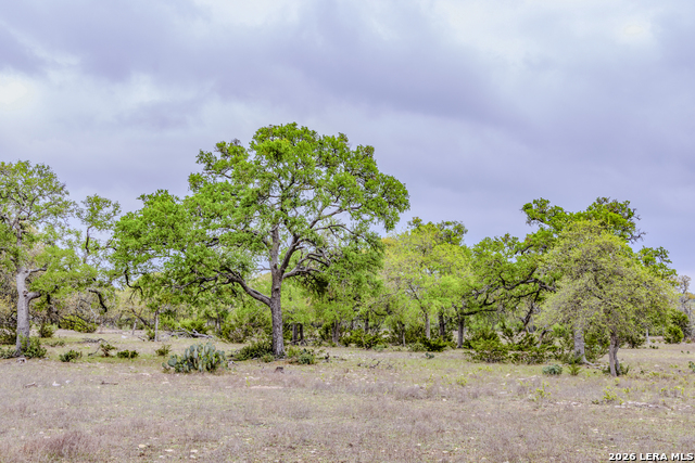 Image 36 of 46 For Tbd Sattler Rd